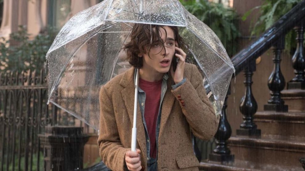 egy-esos-nap-new-yorkban-timothee-chalamet-990x556.jpg