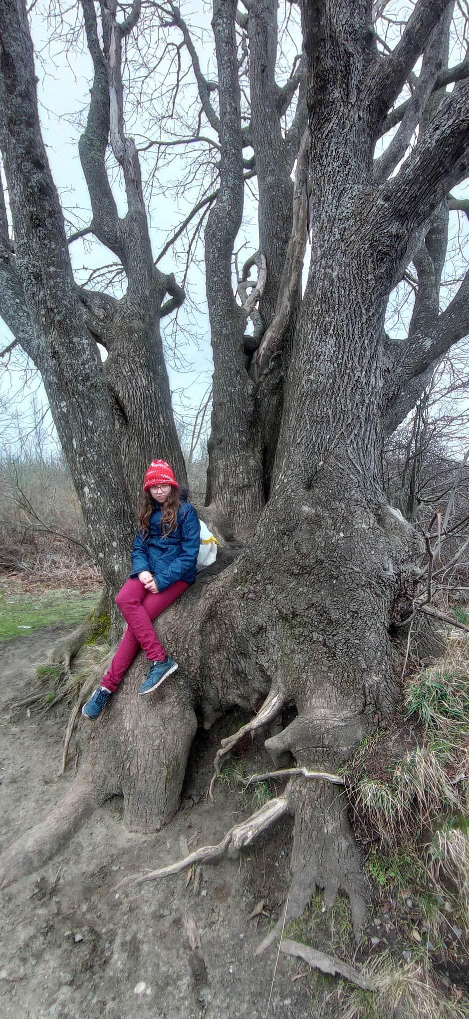 Kati a löszfal melletti nagy fával