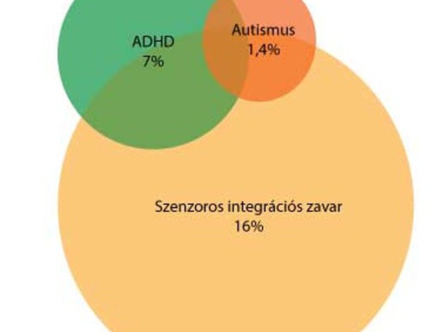 Mi a különbség a szenzoros integrációs zavar és az autizmus között?